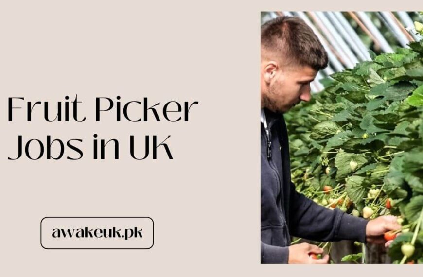 Fruit Picker Jobs in UK