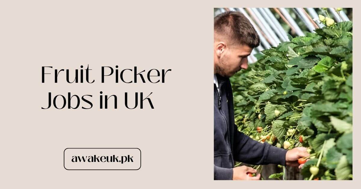 Fruit Picker Jobs in UK