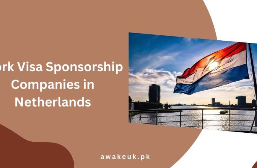 Work Visa Sponsorship Companies in Netherlands