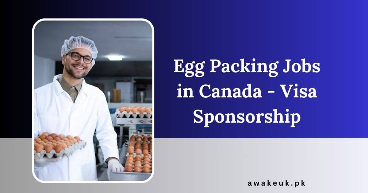 Egg Packing Jobs in Canada - Visa Sponsorship