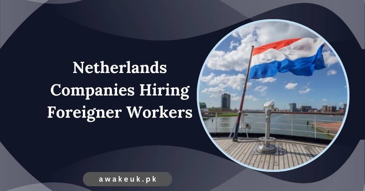 Netherlands Companies Hiring Foreigner Workers