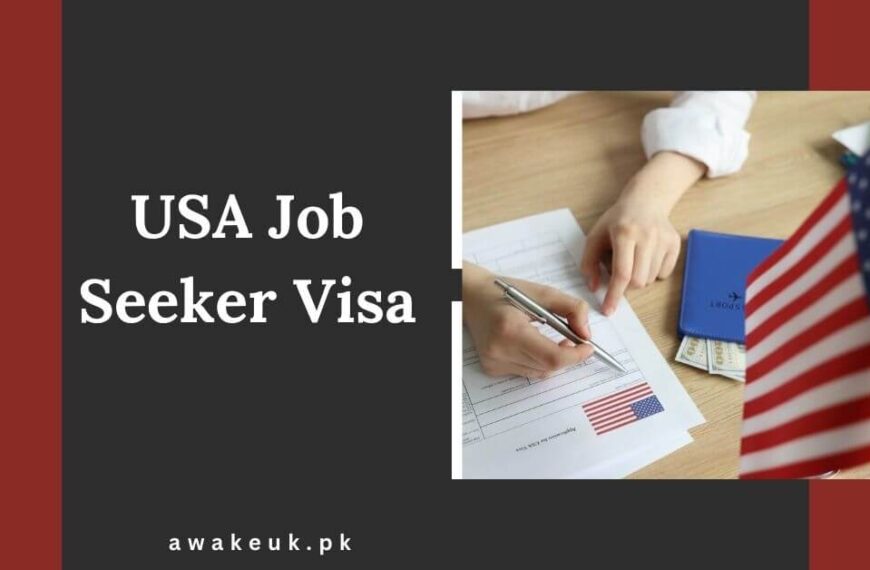 USA Job Seeker Visa