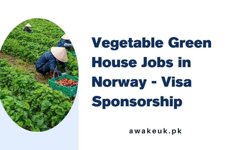 Vegetable Green House Jobs in Norway - Visa Sponsorship